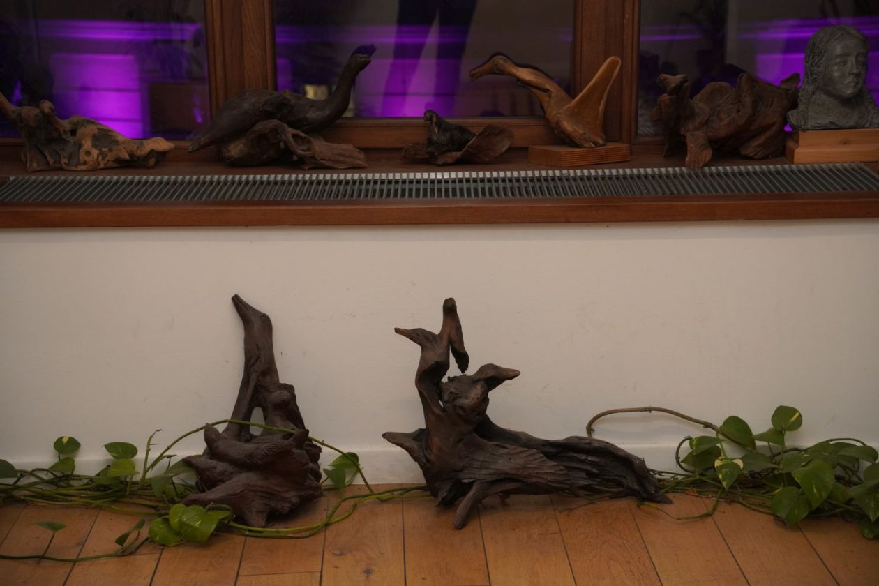 Noć muzeja Muzej Međimurja Čakovec (35)