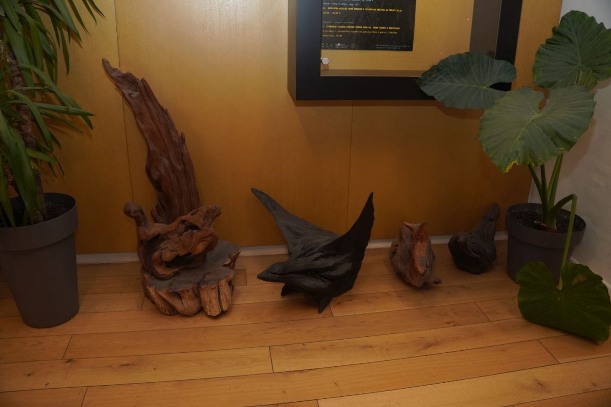 Noć muzeja Muzej Međimurja Čakovec (36)