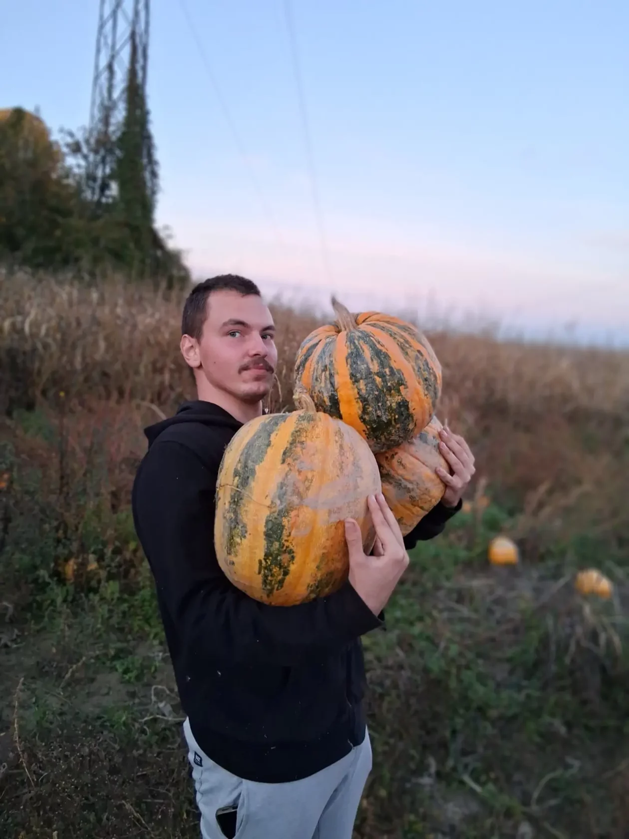 OPG Kristoš, Svjetski dan tikve, bundeva, tikva (10)