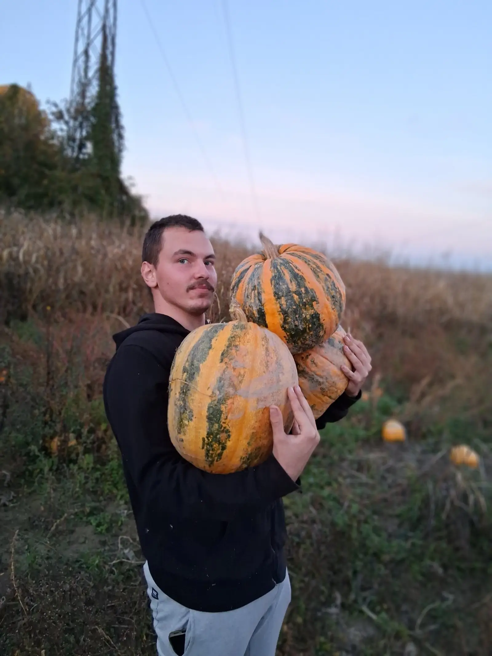 OPG Kristoš, Svjetski dan tikve, bundeva, tikva (10)