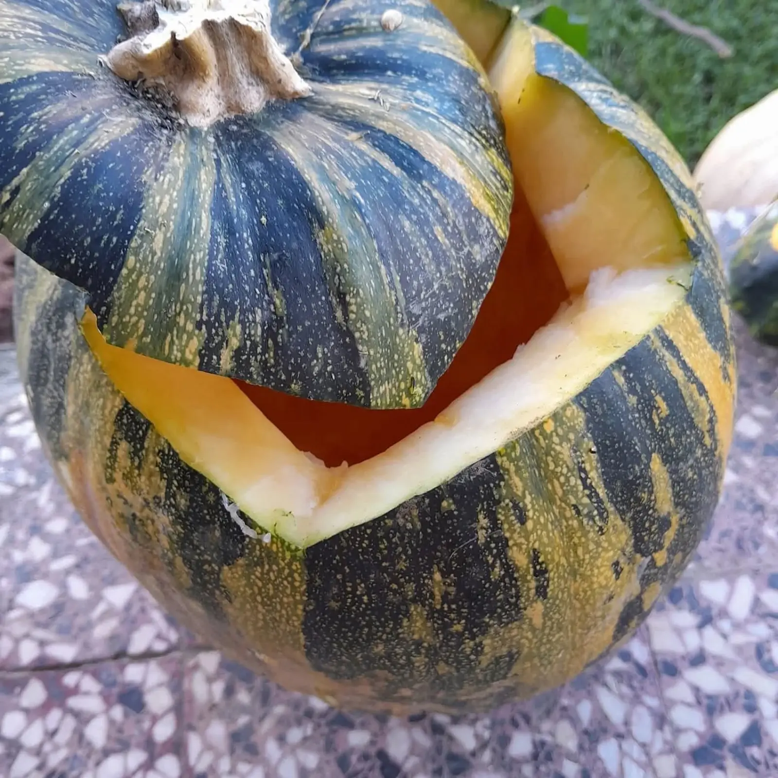 OPG Kristoš, Svjetski dan tikve, bundeva, tikva (2)