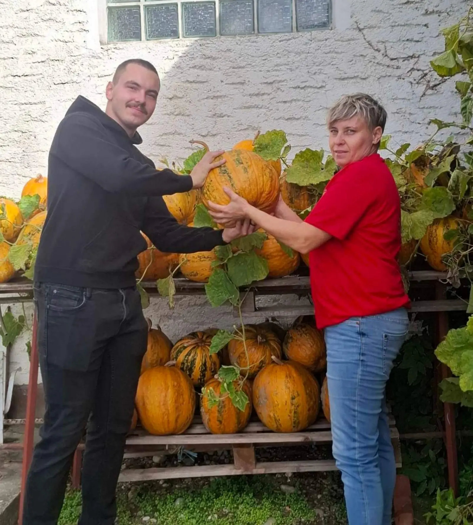 OPG Kristoš, Svjetski dan tikve, bundeva, tikva (5)