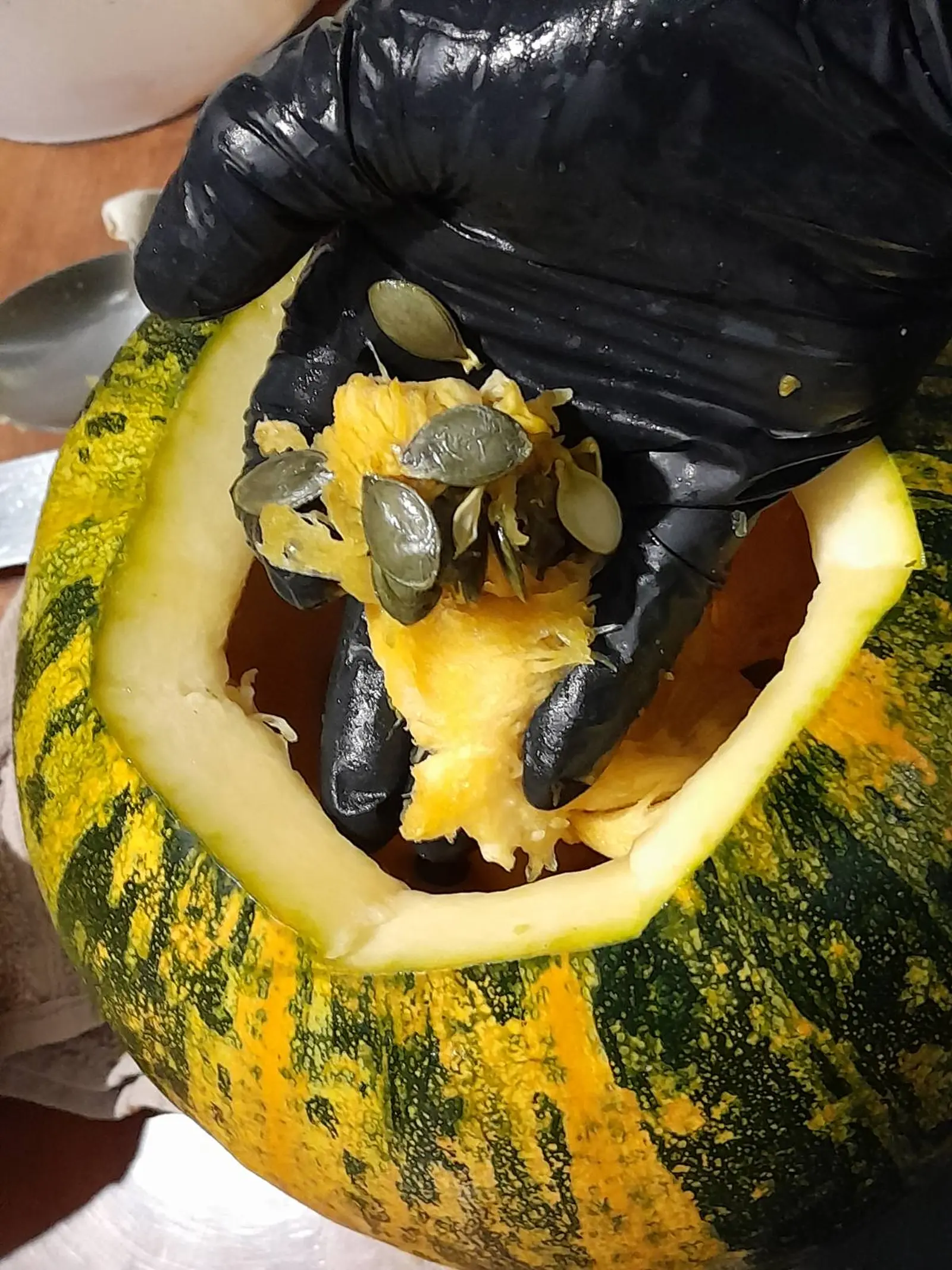 OPG Kristoš, Svjetski dan tikve, bundeva, tikva (9)