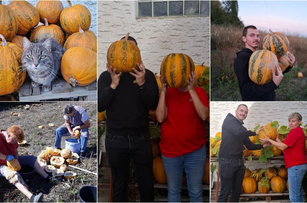 OPG Kristoš naslovna Svjetski dan tikve