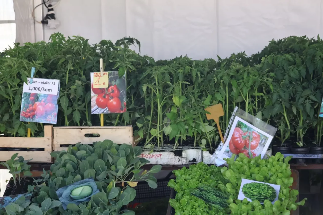 OPG MArtinec Sajam cvijeća 2026