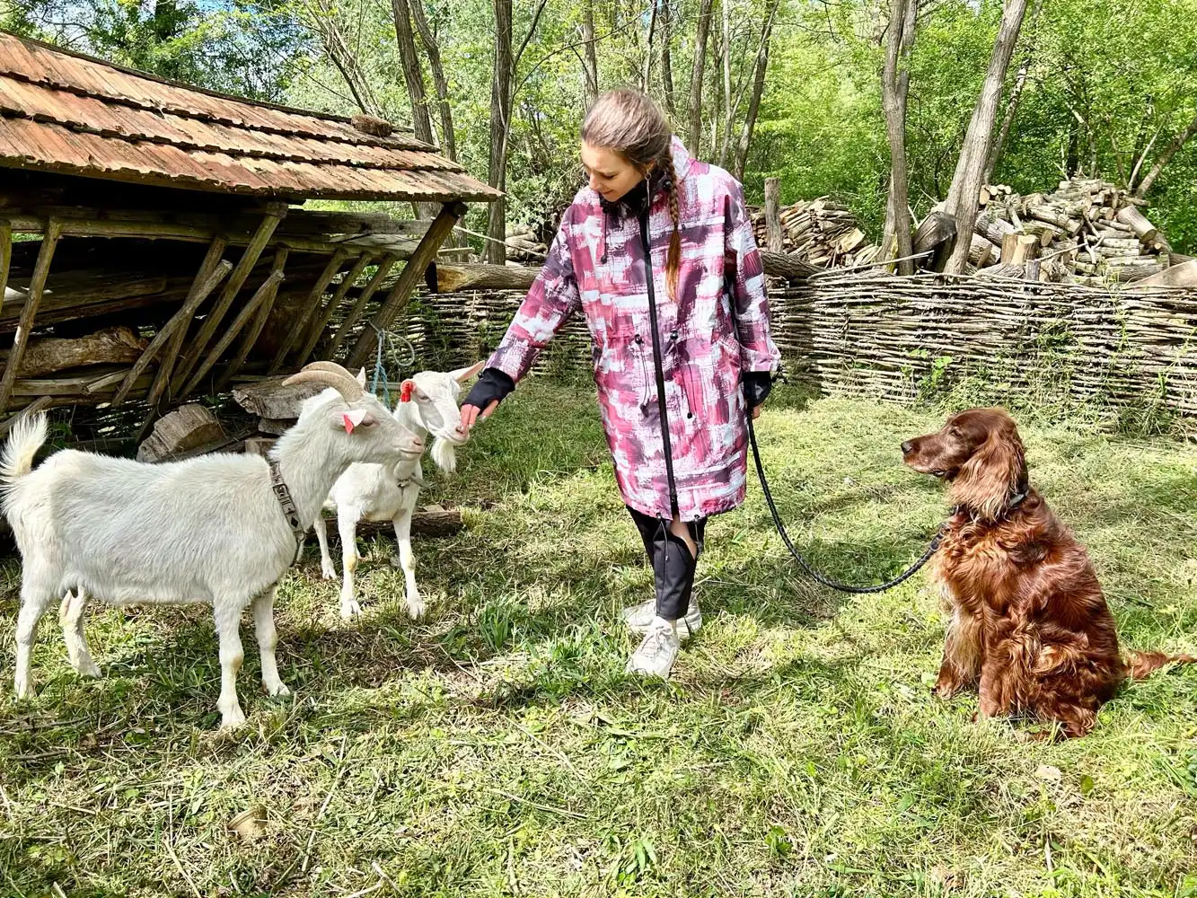 OPG OPOR Anamaria (1)