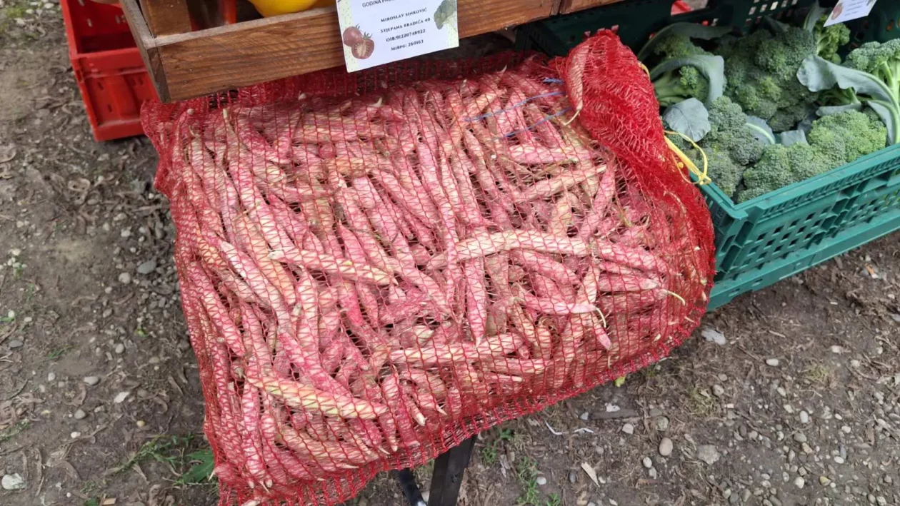 OPG Vrtek, Prelog, Miroslav Sinković (1) OPG Vrtek, Prelog, Miroslav Sinković (1)