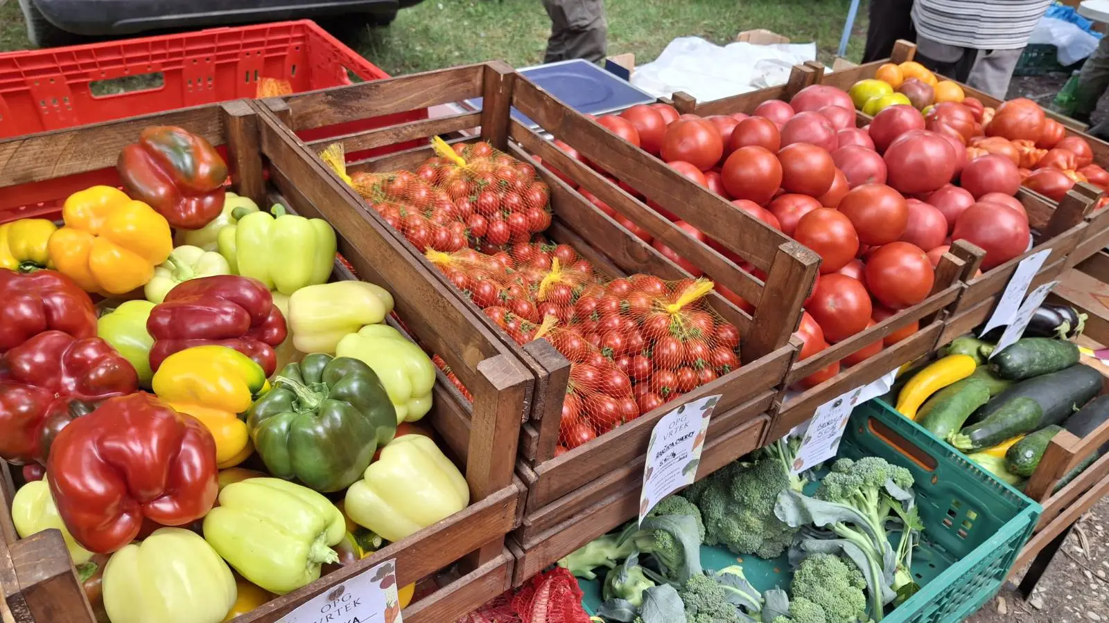 OPG Vrtek, Prelog, Miroslav Sinković (3)