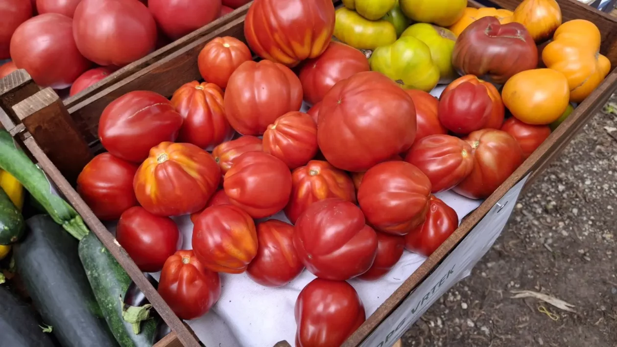 OPG Vrtek, Prelog, Miroslav Sinković (6) OPG Vrtek, Prelog, Miroslav Sinković (6)