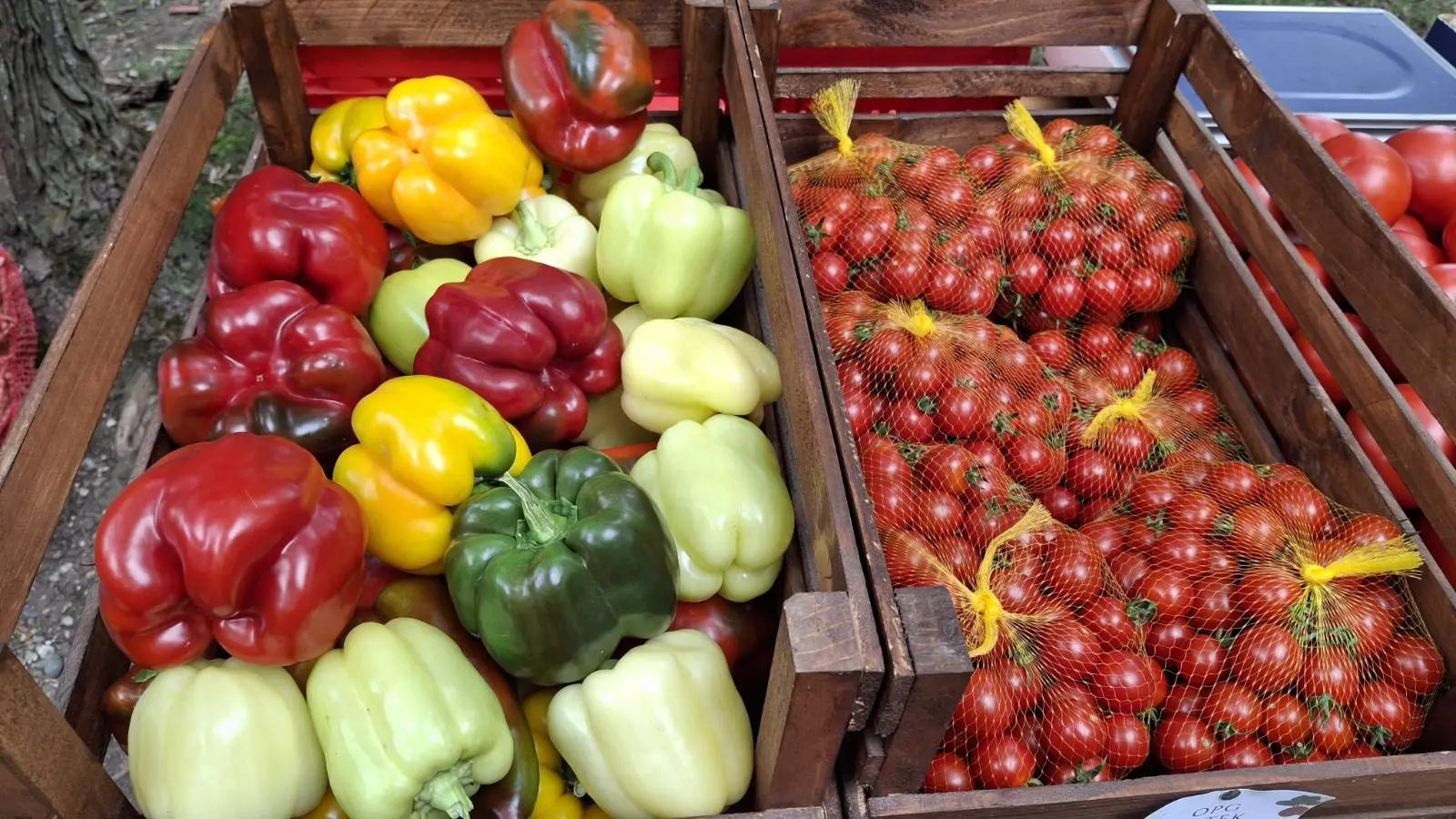 OPG Vrtek, Prelog, Miroslav Sinković (8)