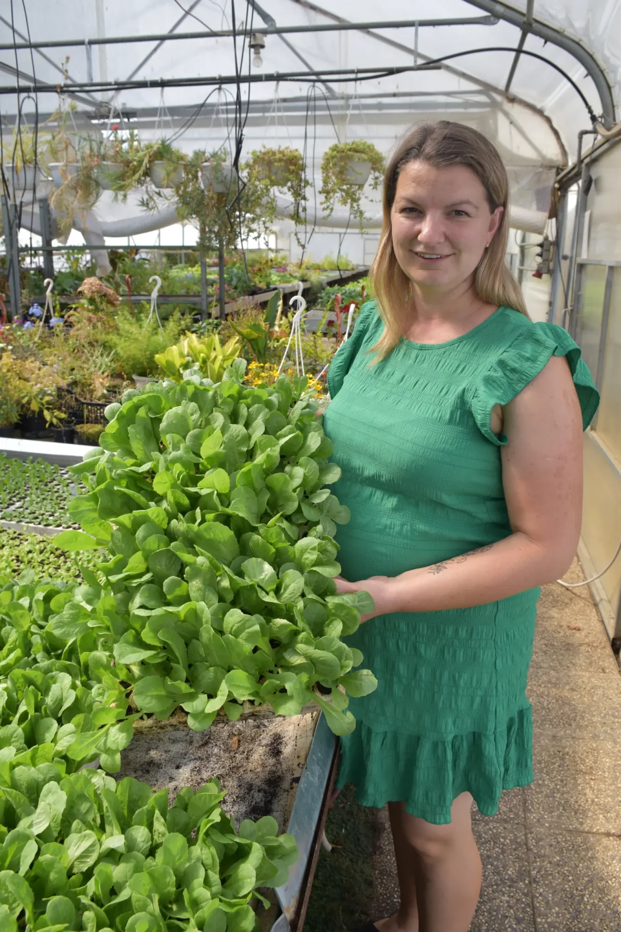 OPG Zelenić, Domašinec (1)