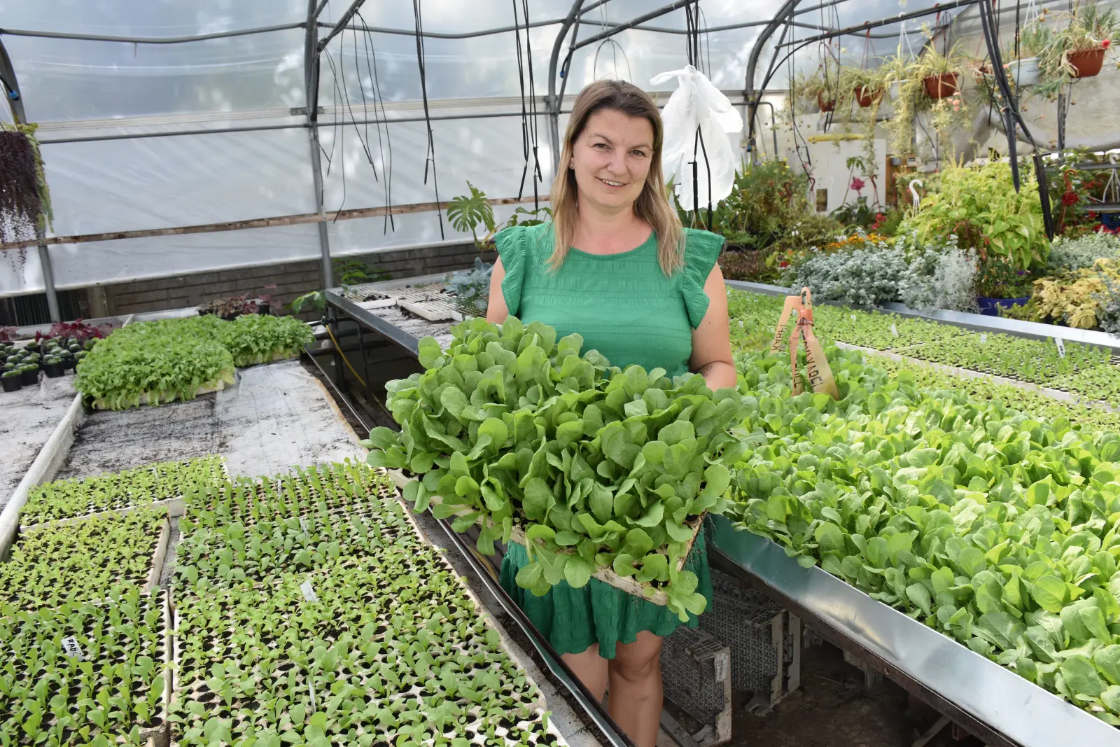 OPG Zelenić, Domašinec (2)