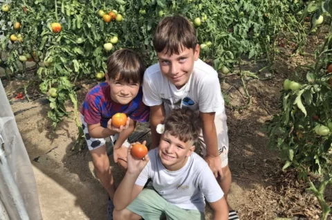 OPG Zelenić, Domašinec (21) OPG Zelenić, Domašinec (21)