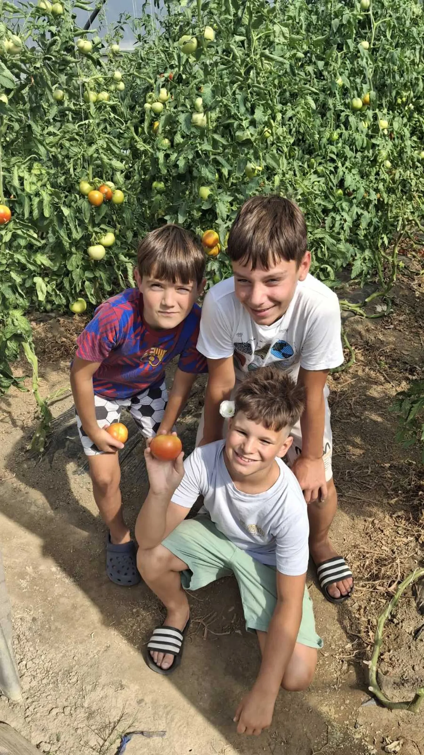 OPG Zelenić, Domašinec (23)