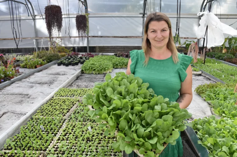 OPG Zelenić, Domašinec (3)