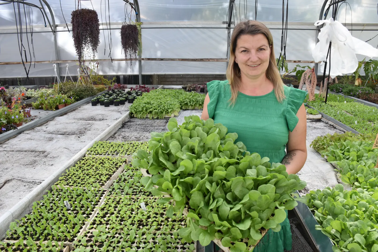 OPG Zelenić, Domašinec (3)