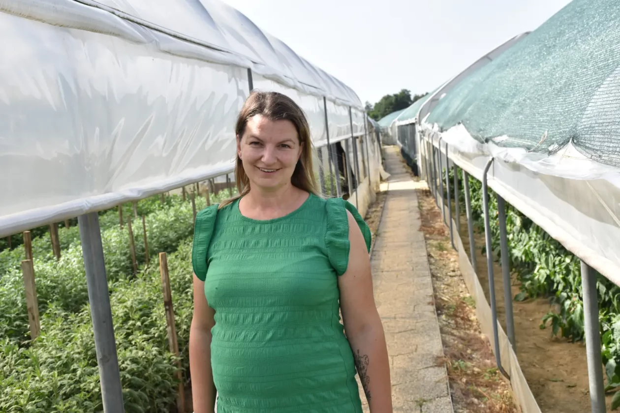 OPG Zelenić, Domašinec (5)