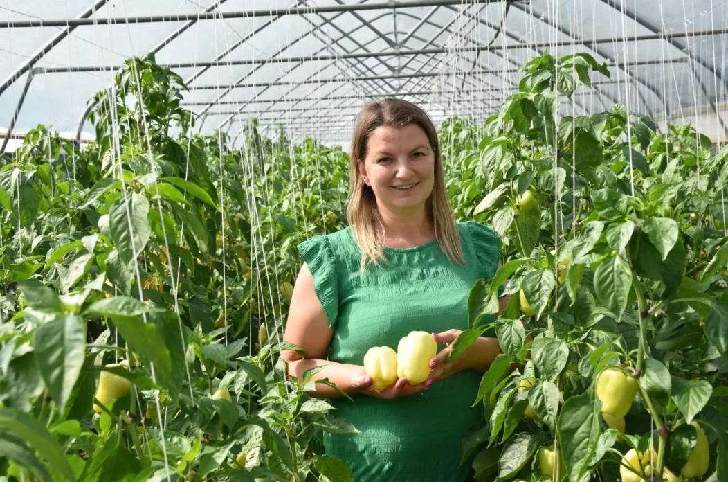 OPG Zelenić, Domašinec (8)