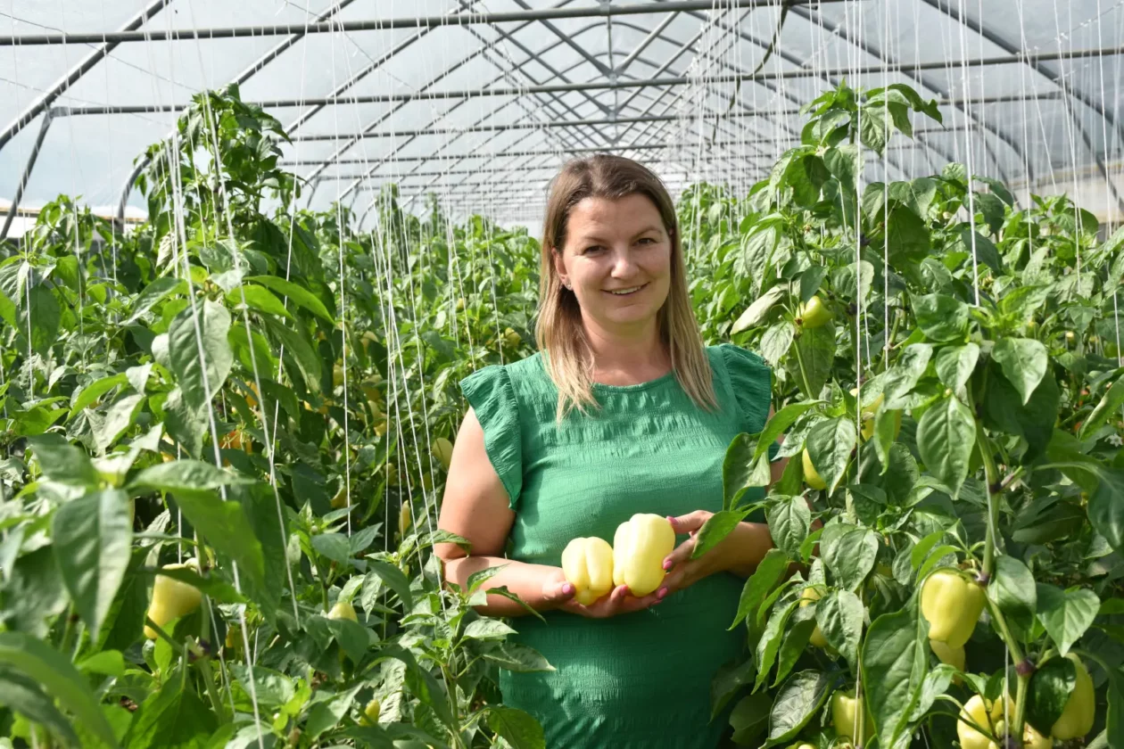 OPG Zelenić, Domašinec (8)