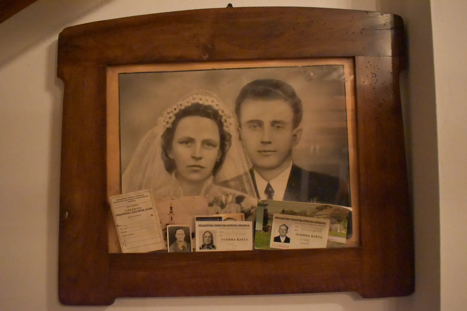 OPOROVEC OPG zadravec (13)