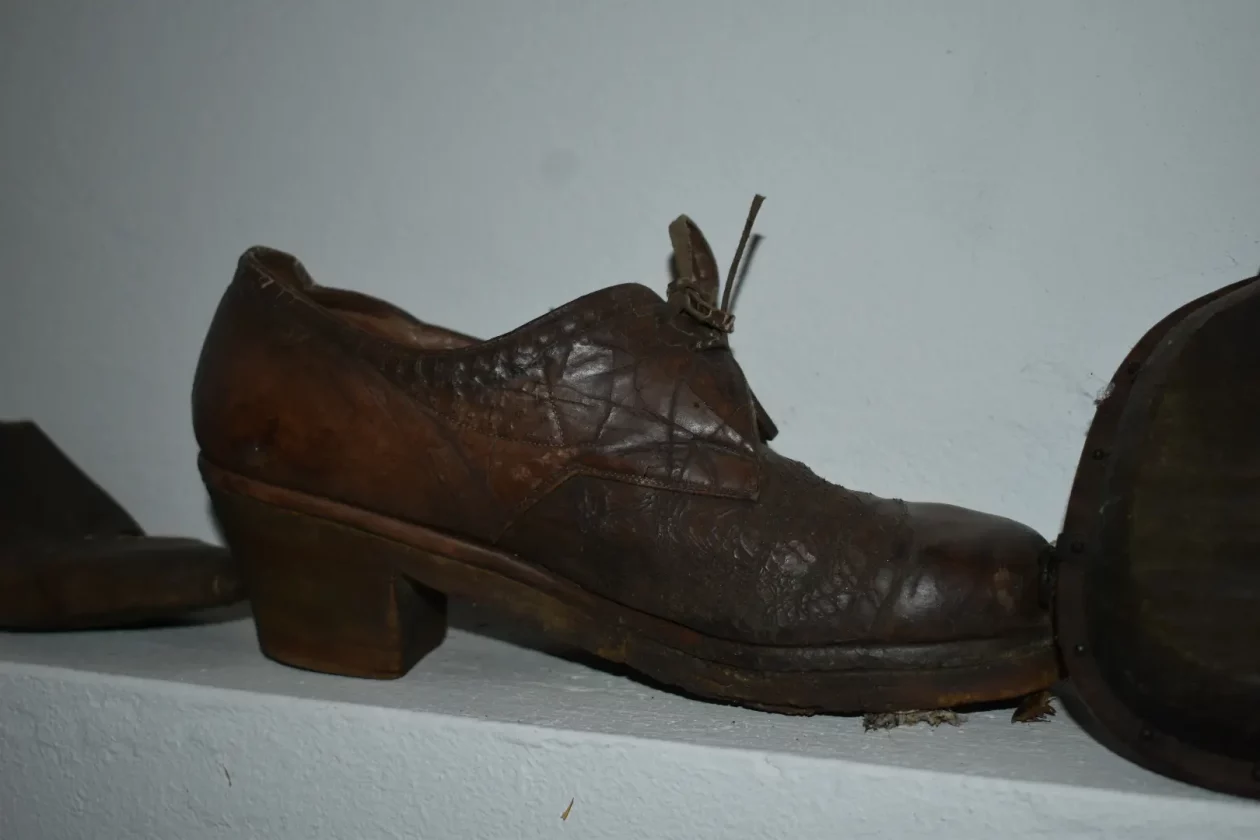 OPOROVEC OPG zadravec (15)