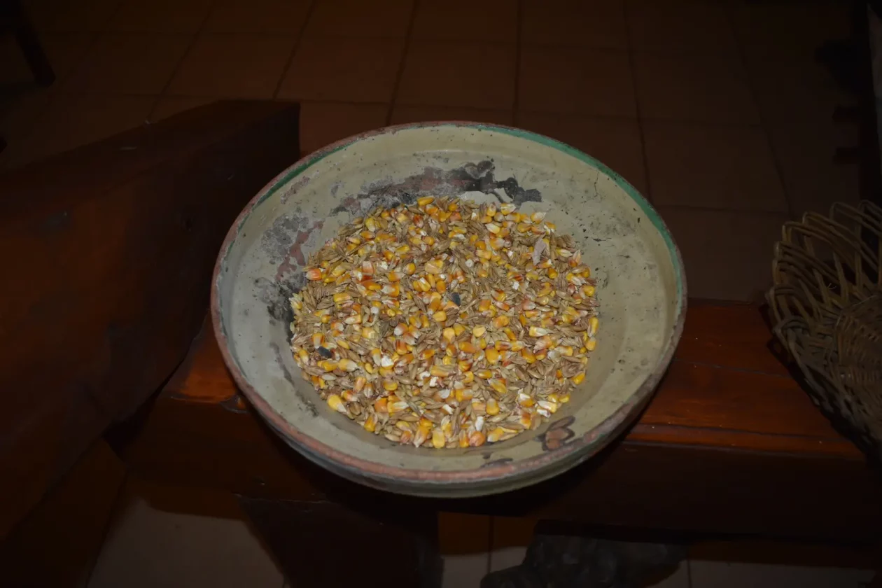 OPOROVEC OPG zadravec (21)