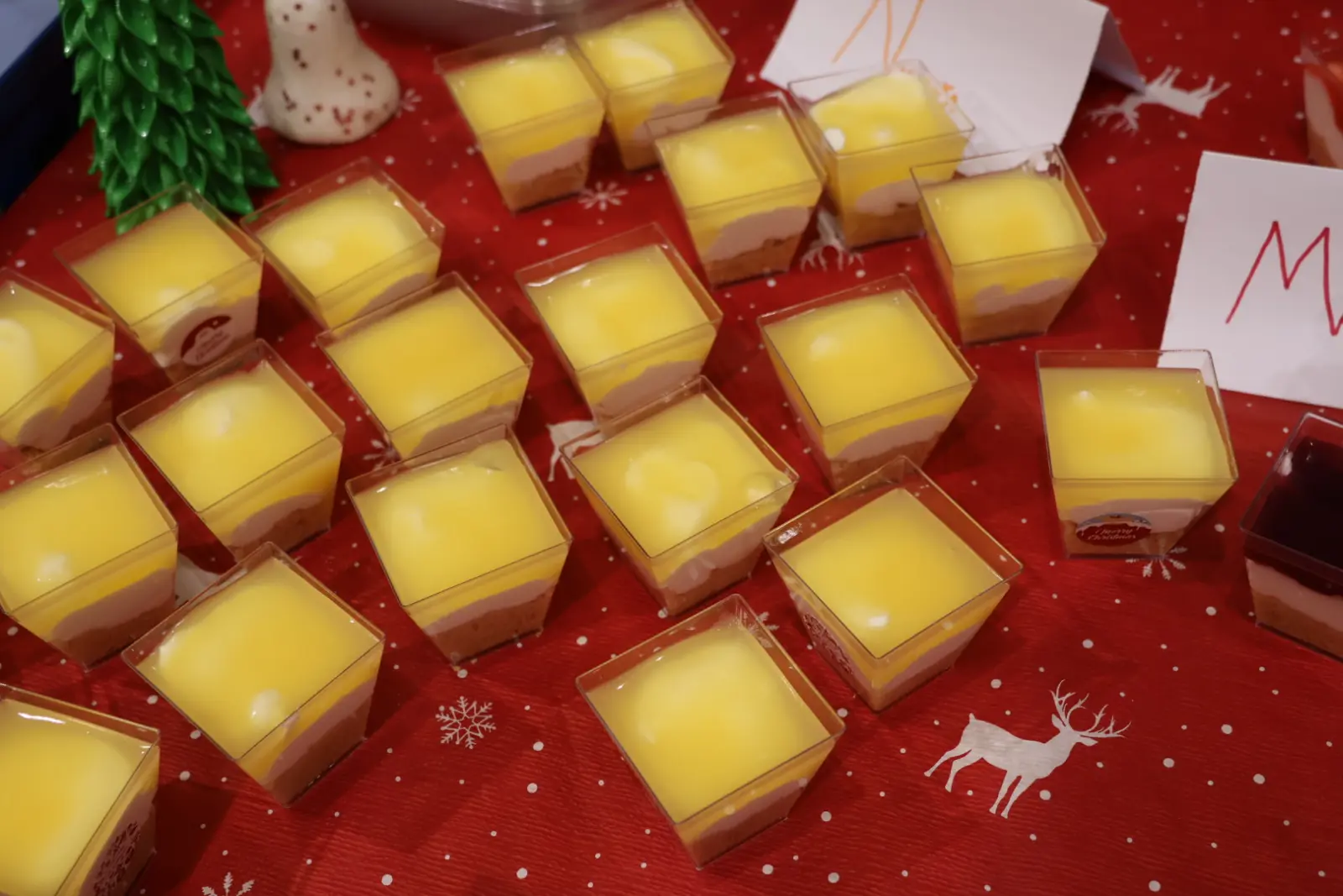 OŠ Donji Kraljevec, božićni sajam, božić, priredba (11) OŠ Donji Kraljevec, božićni sajam, božić, priredba (11)