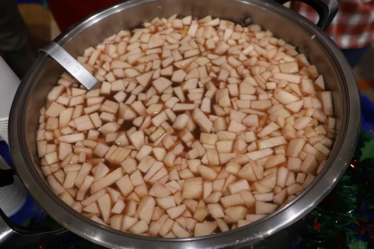 OŠ Donji Kraljevec, božićni sajam, božić, priredba (19)