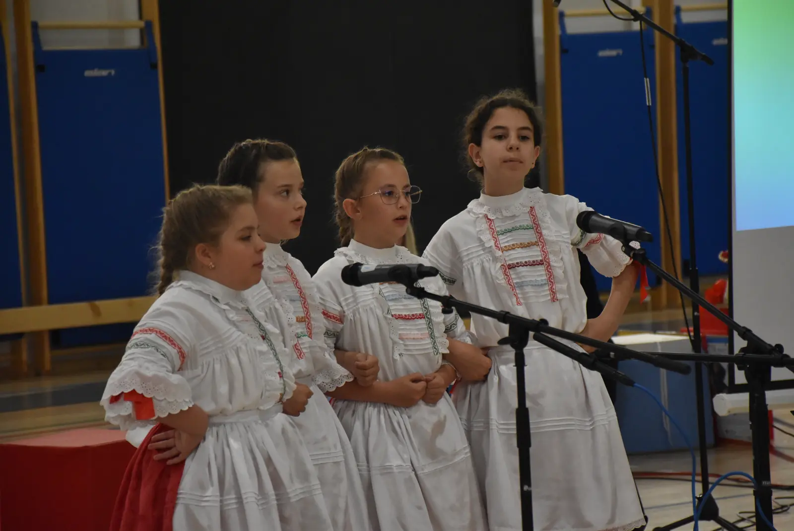 OŠ Draškovec, proslava 20. obljetnice (48)