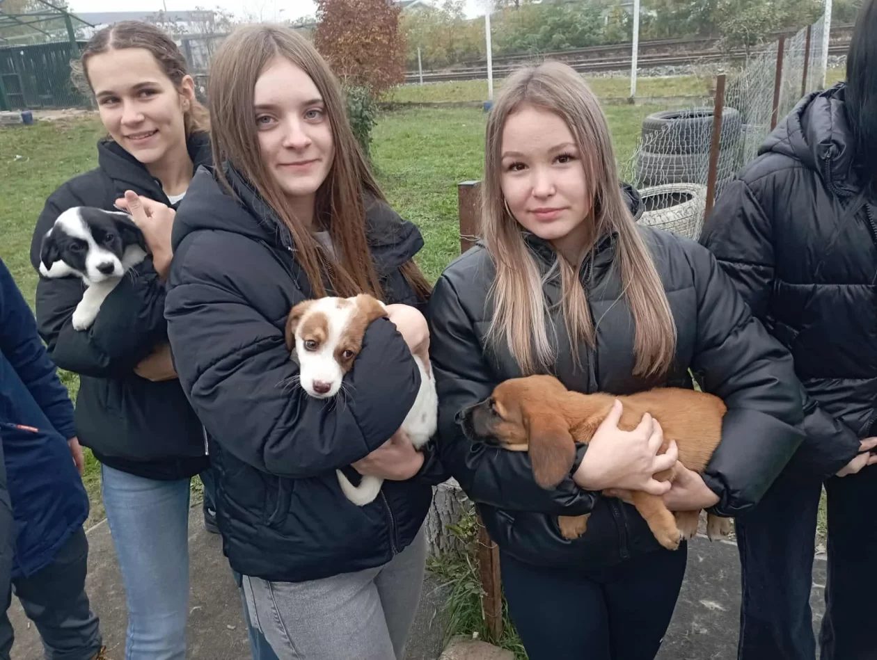 OŠ SELNICA U AZILU PRIJATELJI ČAKOVEC 2