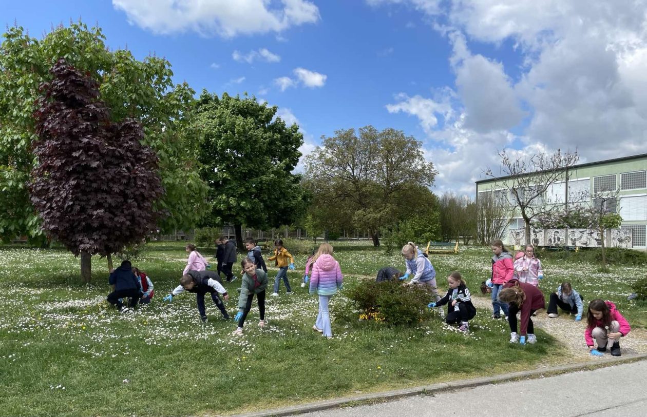 OŠ TOMAŠA GORIČANCA mala subotica Zelena čistka (3)