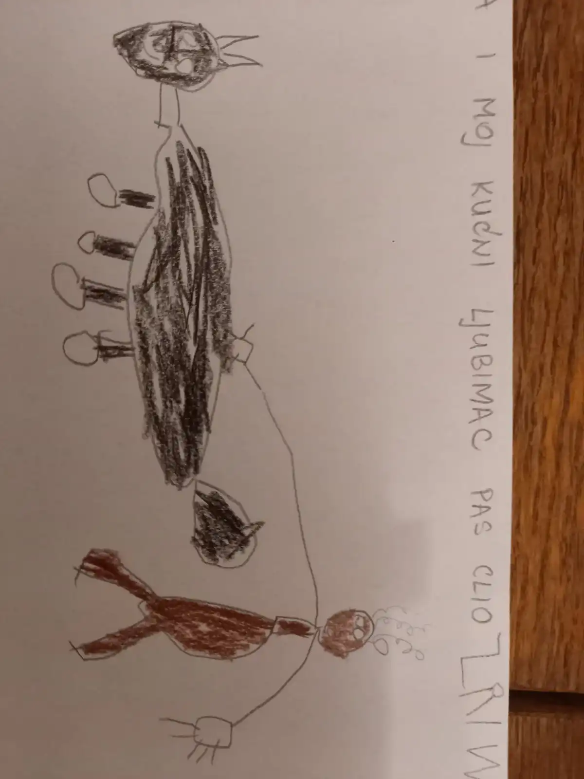 OŠ Tomaša Goričanca Mala Subotica (3)