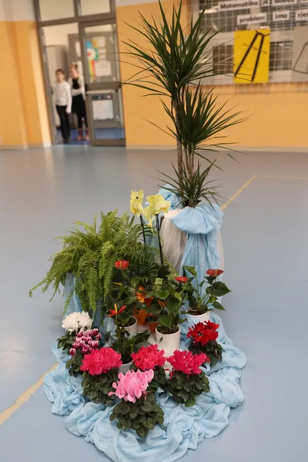 OŠ VLADIMIRA NAZORA matematika (12)