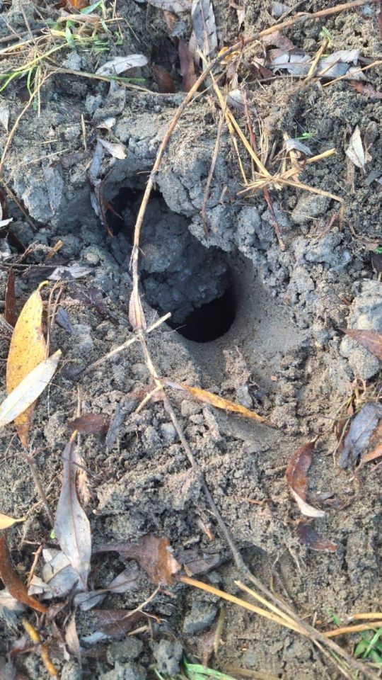 OŠTEĆENA RAMPA NA ŠETNICI Grad Mursko Središće apelira na građane nakon vandalizma (6)