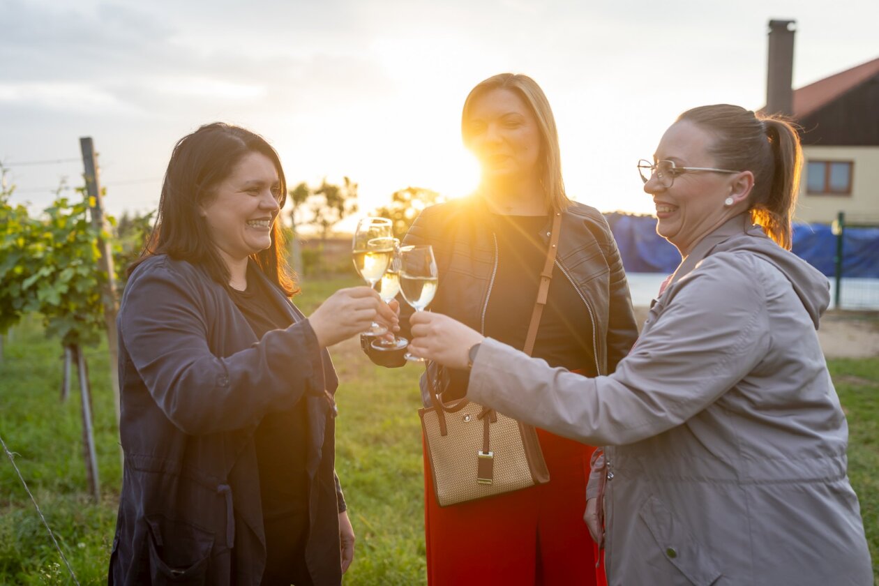 OTVORENI PODRUMI 2025 – petak (15) OTVORENI PODRUMI 2025 – petak (15)