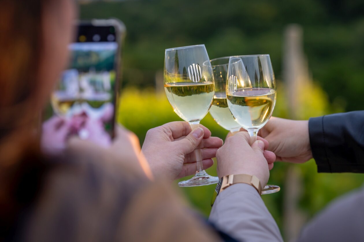 OTVORENI PODRUMI 2025 – petak (16) OTVORENI PODRUMI 2025 – petak (16)