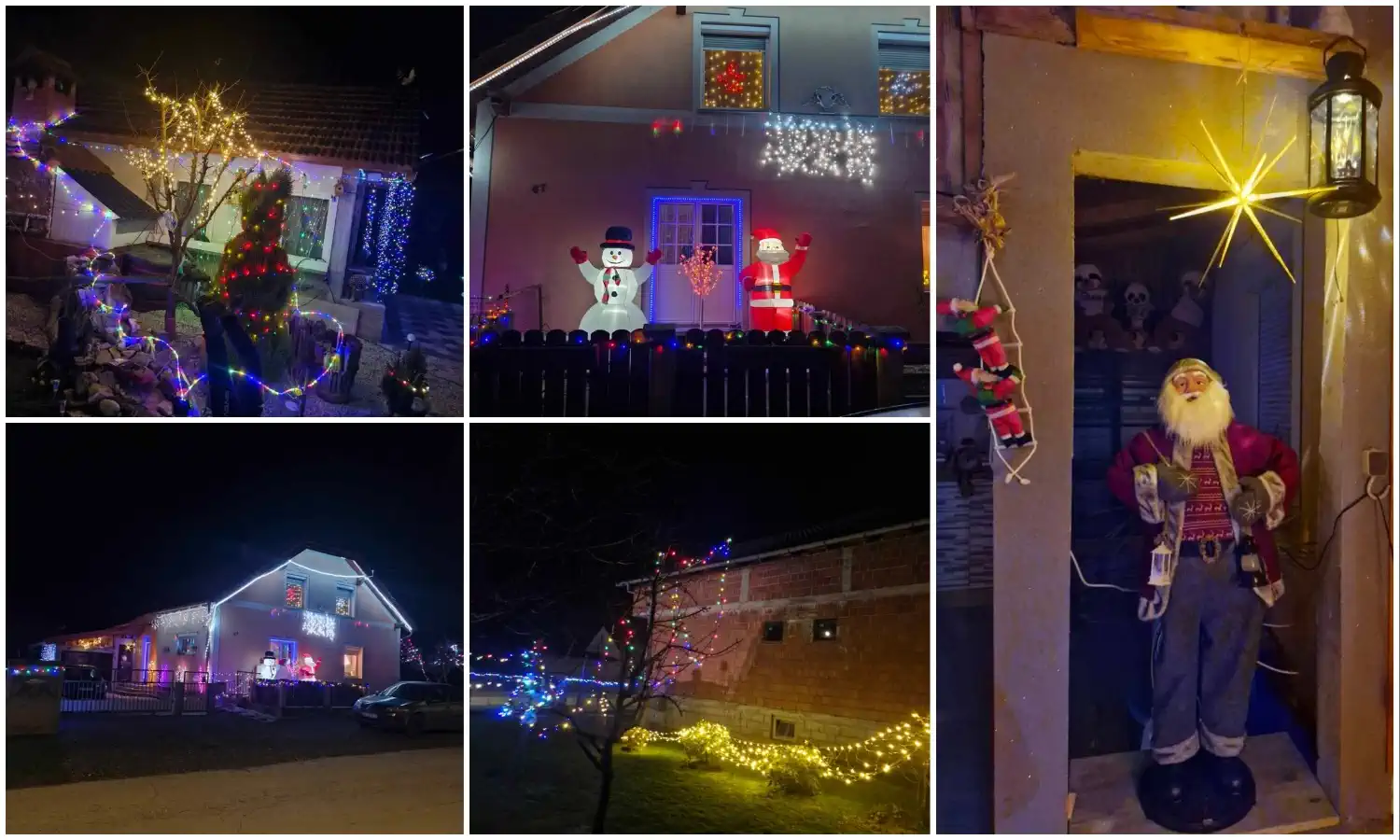 Obitelj Mutvar – žaruljice (10)