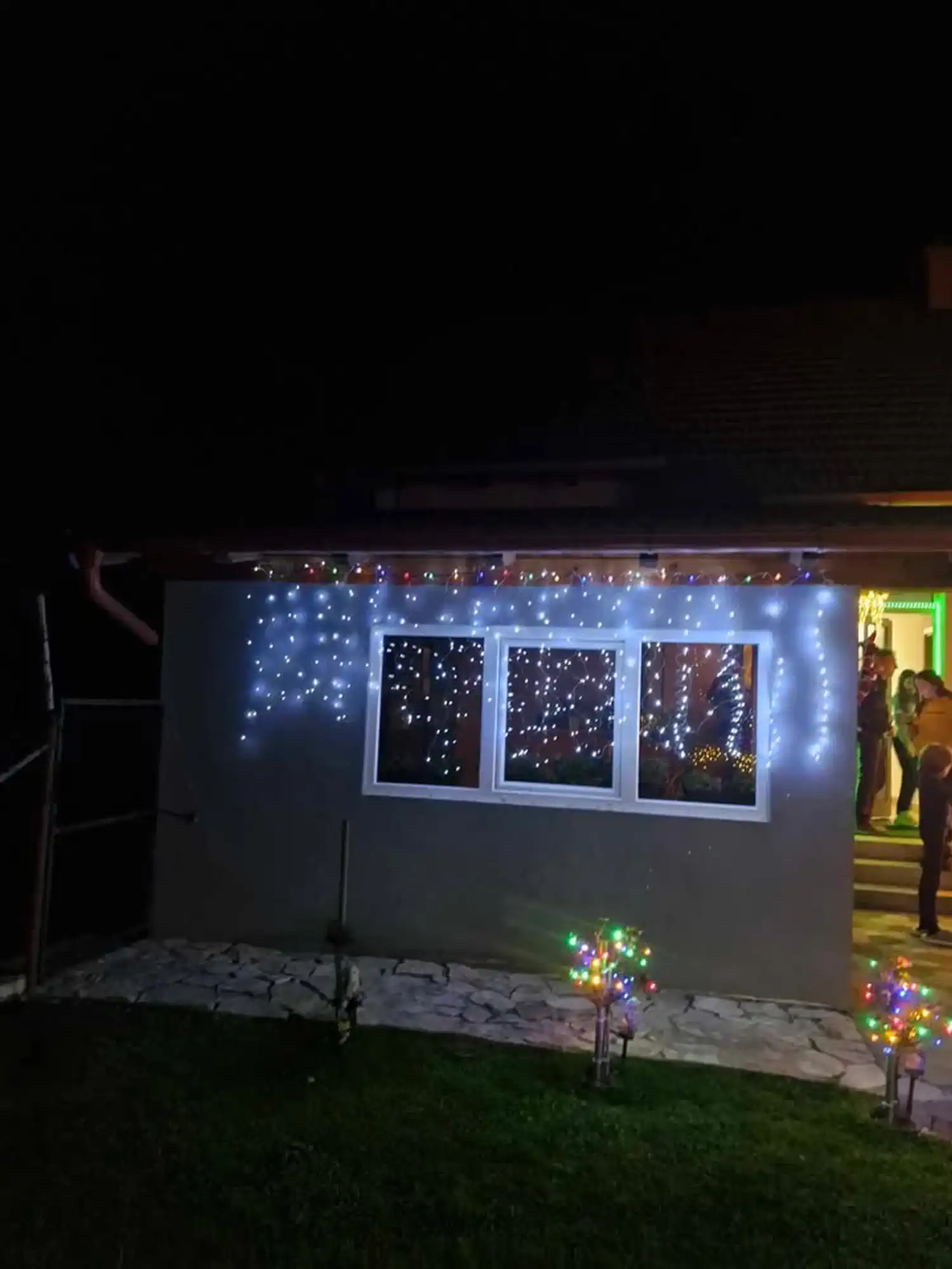 Obitelj Mutvar – žaruljice (5)