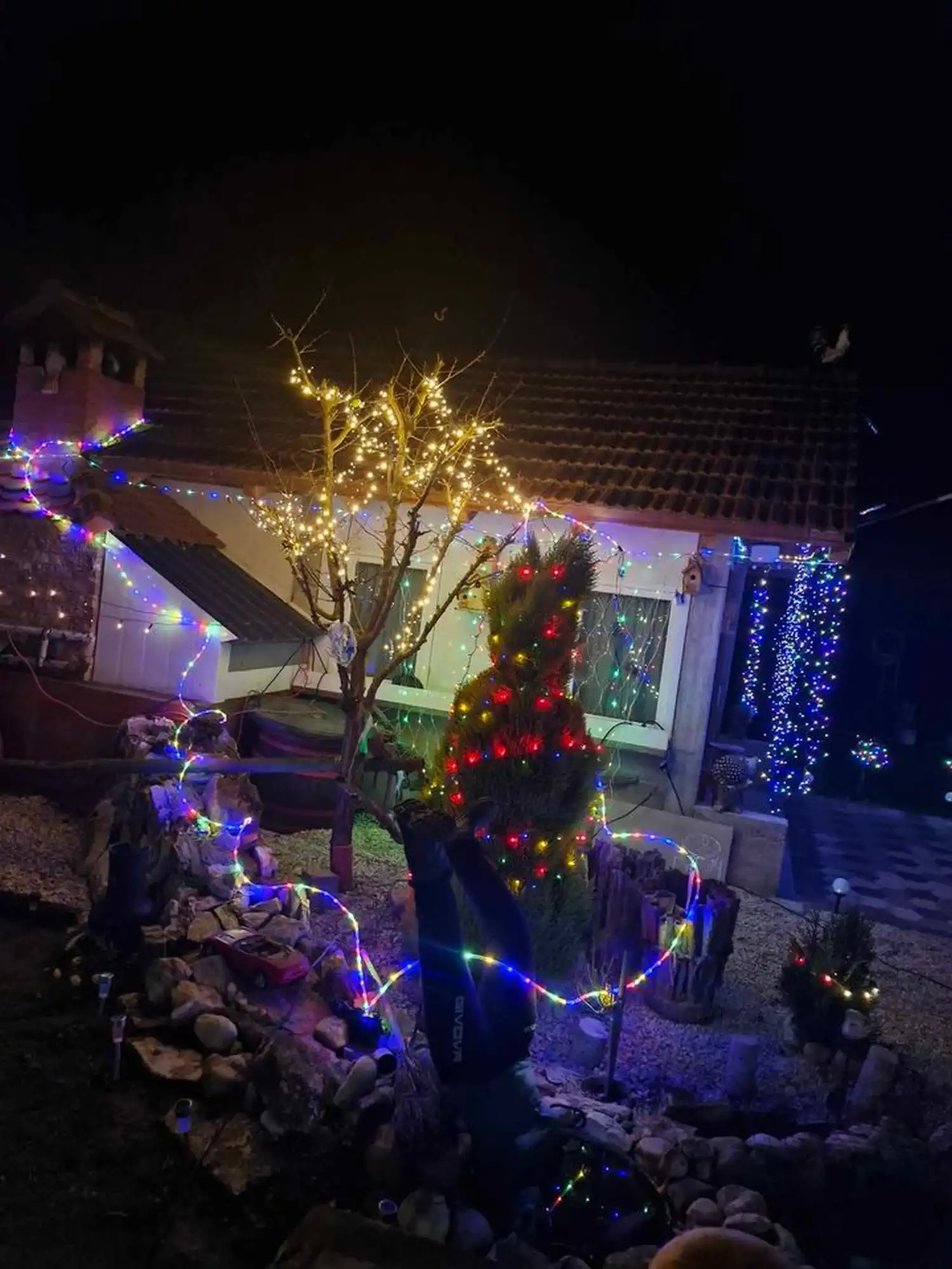 Obitelj Mutvar – žaruljice (6)