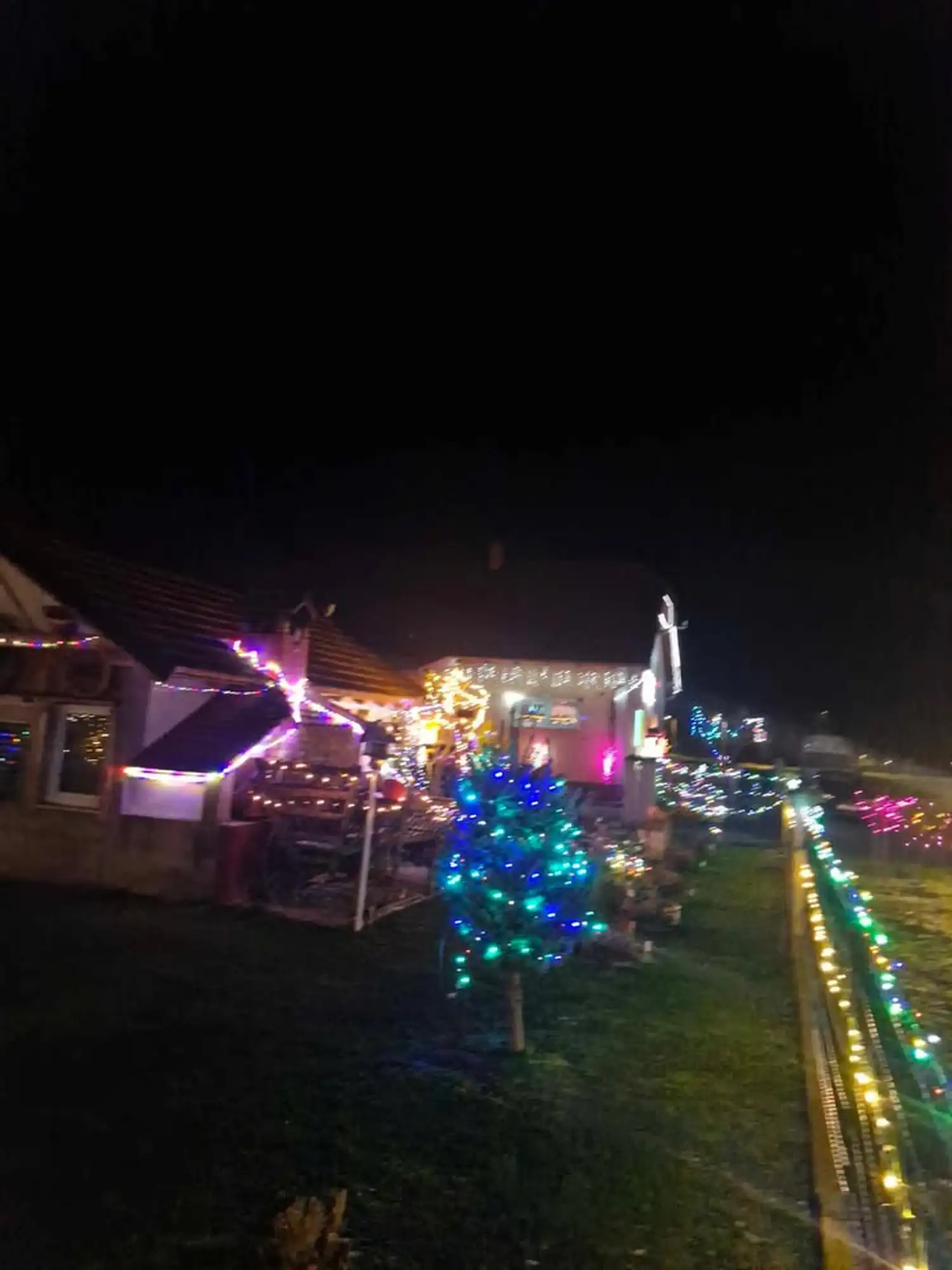 Obitelj Mutvar – žaruljice (7)