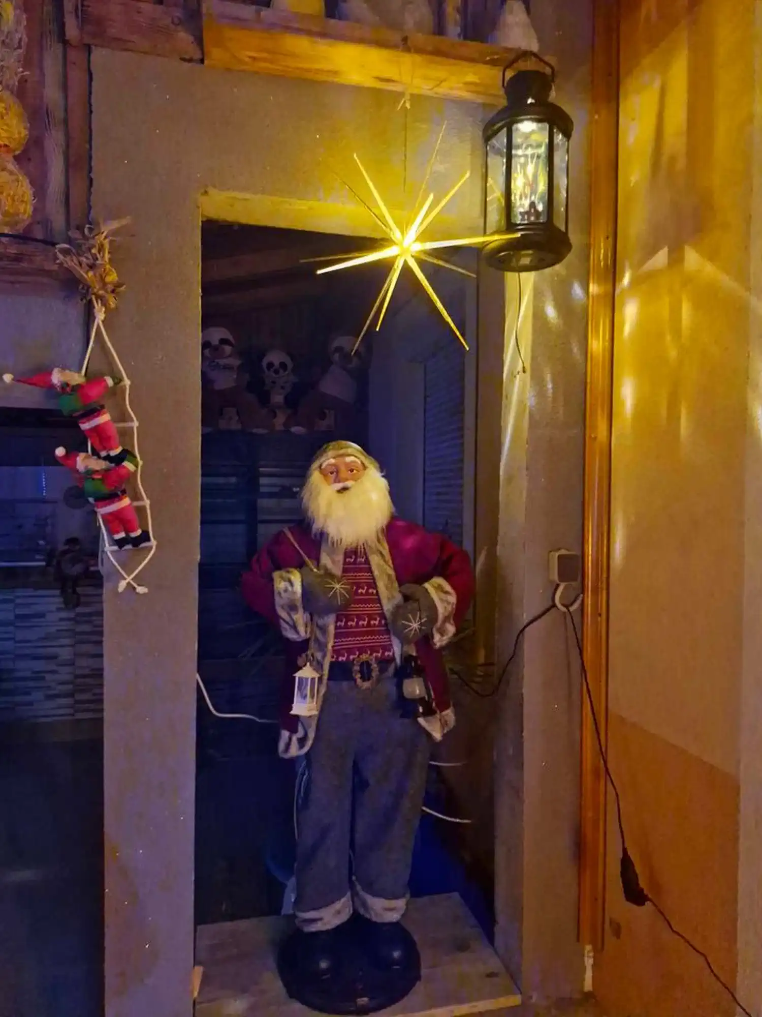 Obitelj Mutvar – žaruljice (9)