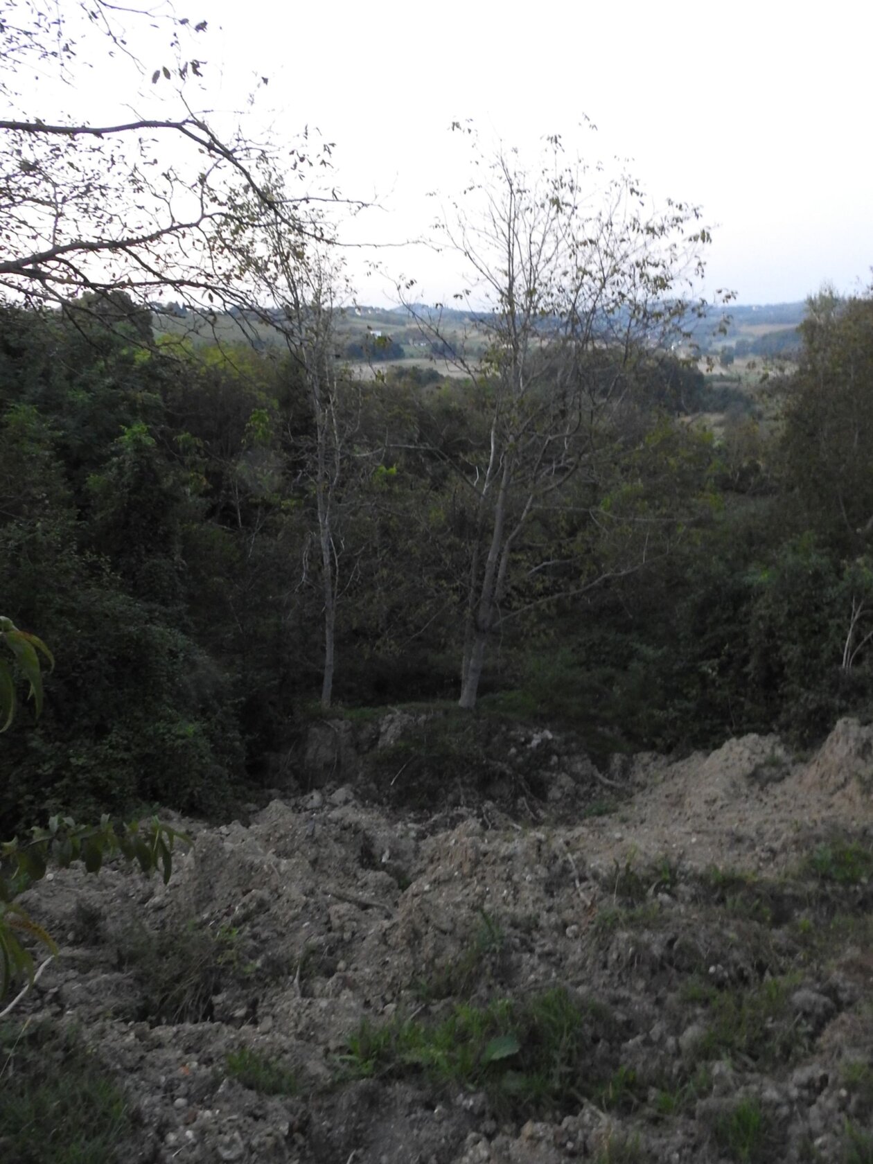Obitelj Tivadar iz Železne Gore (2) Obitelj Tivadar iz Železne Gore (1)