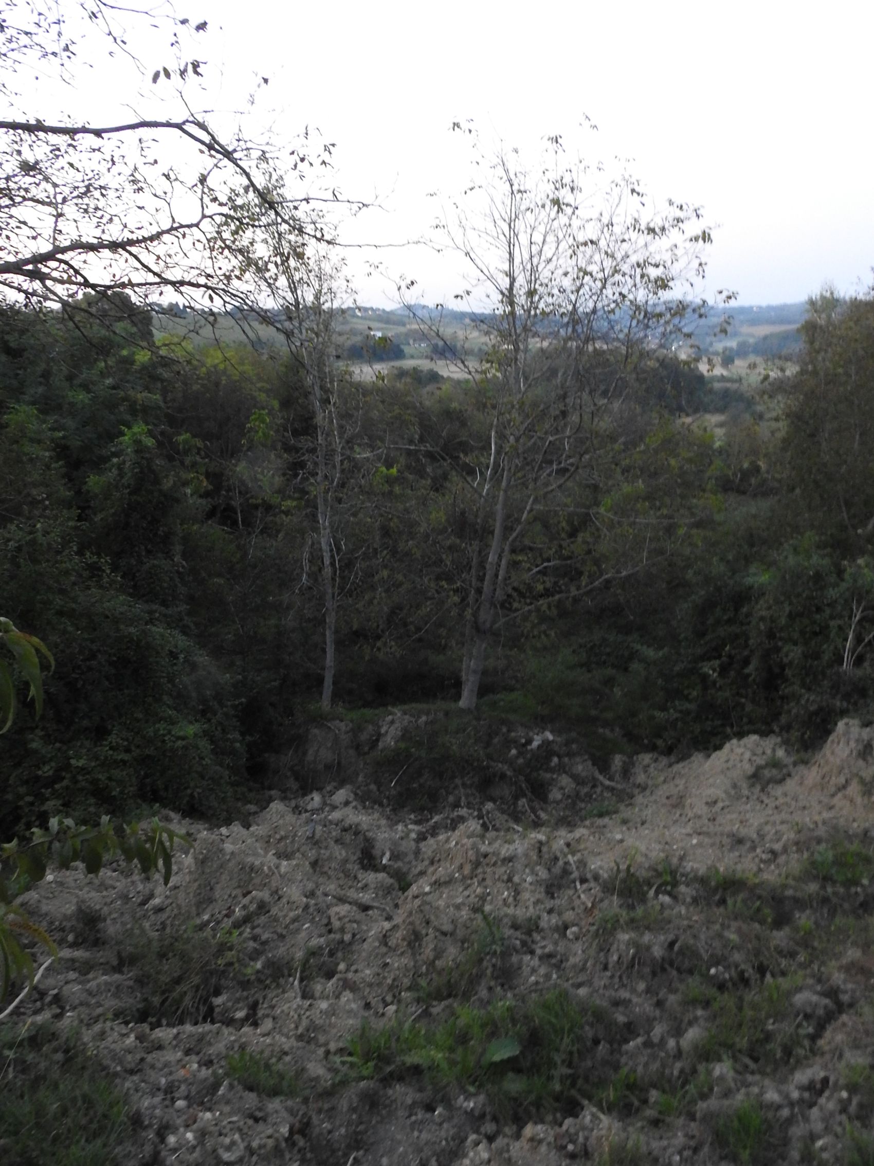Obitelj Tivadar iz Železne Gore (2) Obitelj Tivadar iz Železne Gore (1)