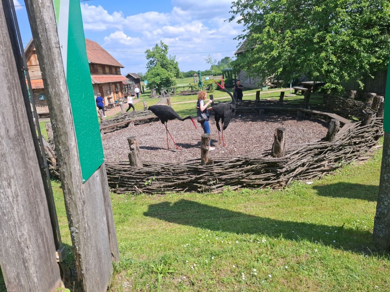 Obljetnica Bljeska 1 Obljetnica Bljeska 1