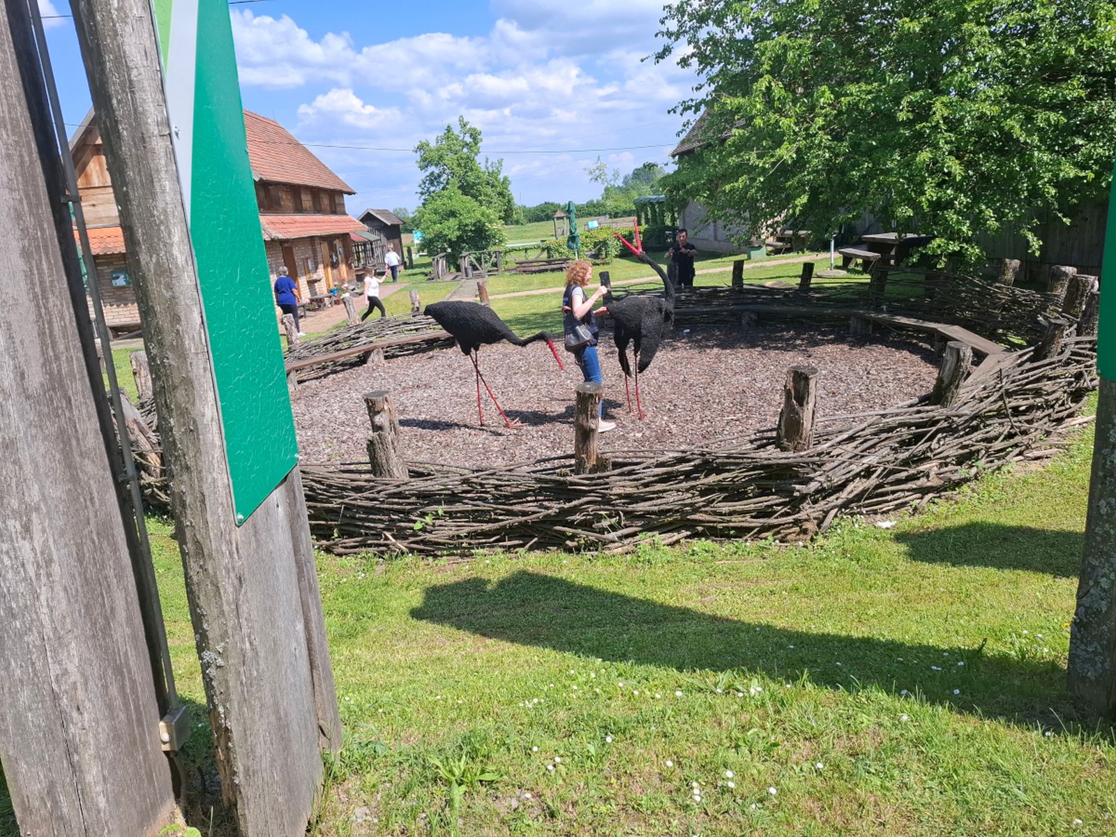 Obljetnica Bljeska 1 Obljetnica Bljeska 1