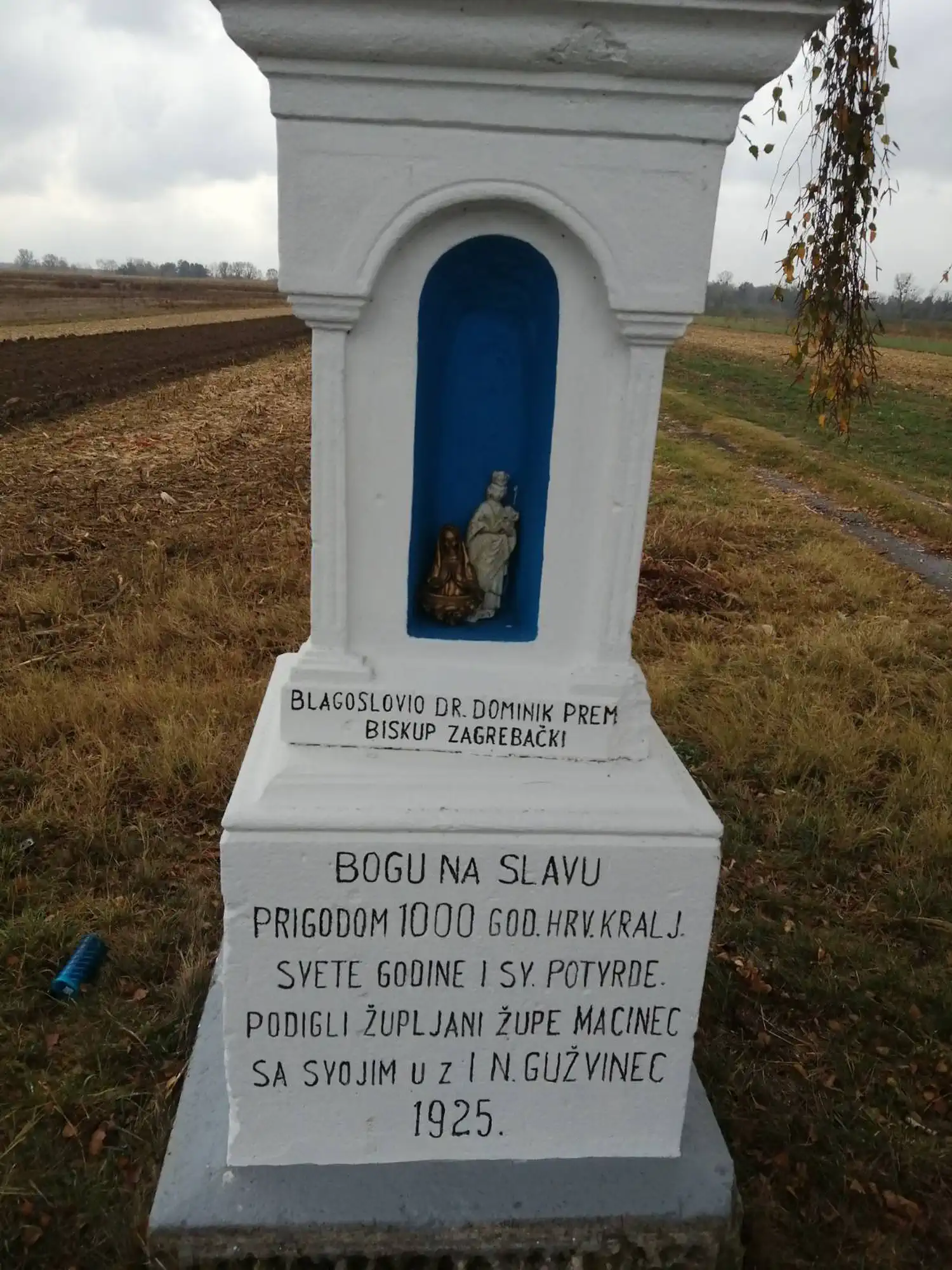 Obnovljeni pil Trnovec (2)