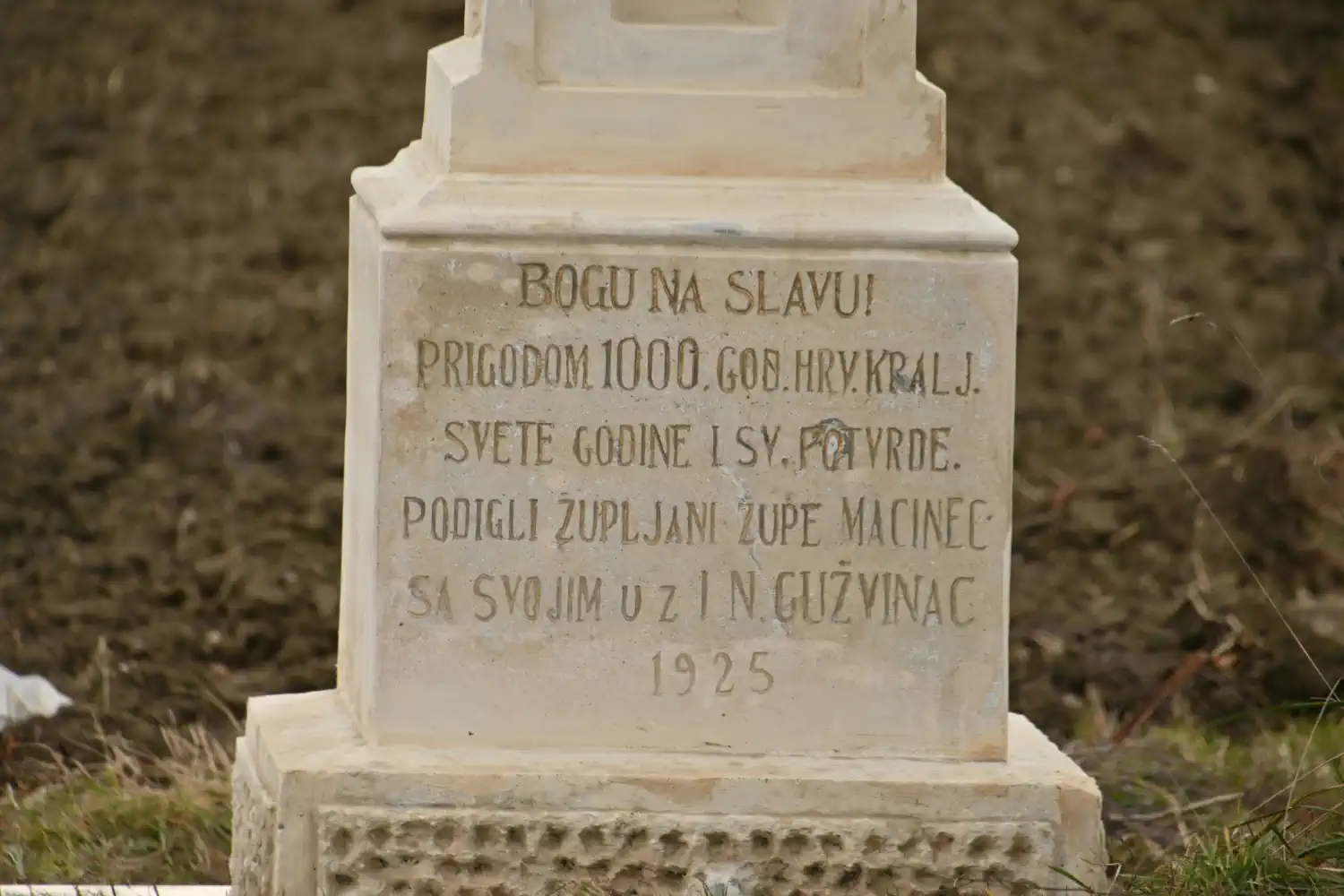 Obnovljeni pil Trnovec (5)