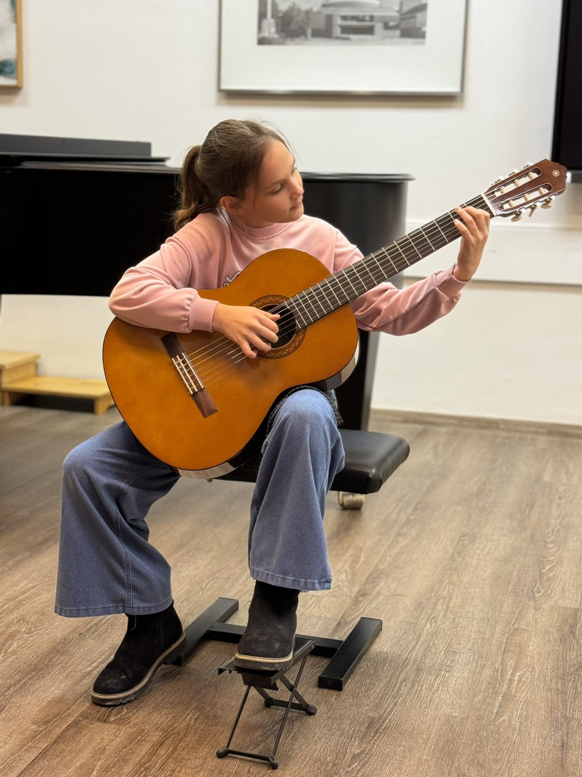 Odjel za žičane instrumente (11) Odjel za žičane instrumente (11)