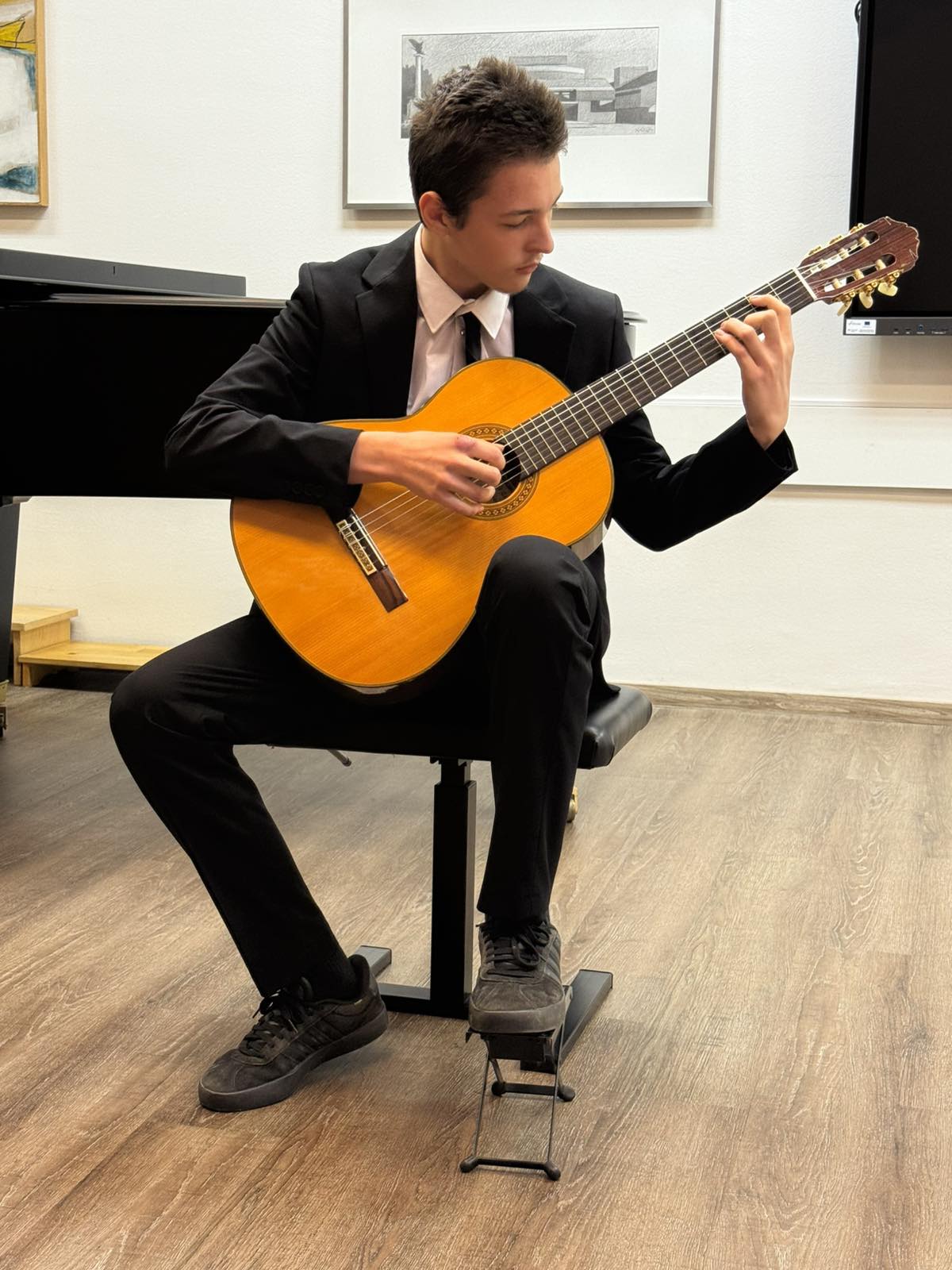 Odjel za žičane instrumente (14) Odjel za žičane instrumente (14)