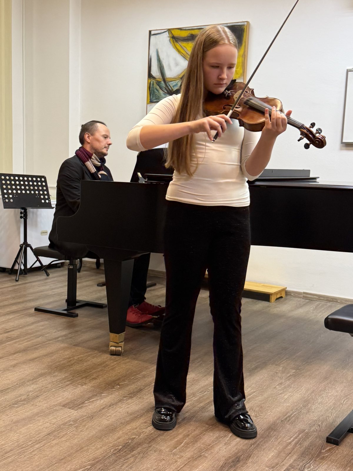 Odjel za žičane instrumente (16) Odjel za žičane instrumente (16)